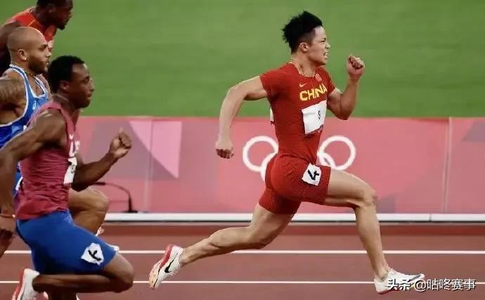 苏炳添，在12月的风里，告别跑道