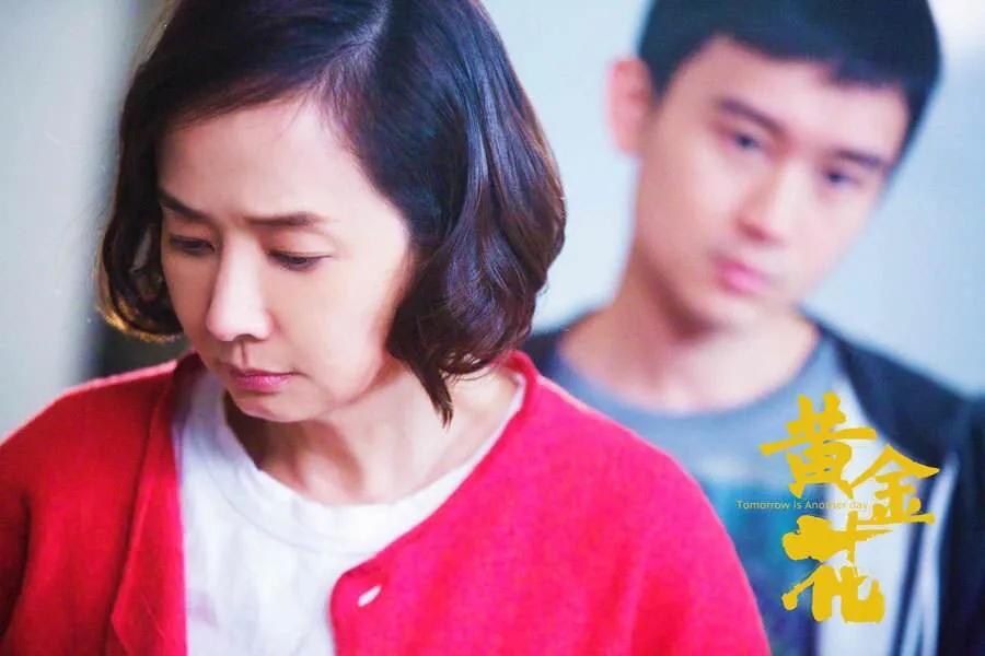 历史伤痕与和解之路,芬兰总理道歉背后的国际政治博弈 历史伤痕与和解之路,芬兰总理道歉背后的国际政治博弈