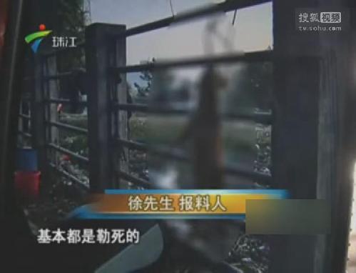 血腥十分钟,澳大利亚海滩枪击案的血色教训与反思 血腥十分钟,澳大利亚海滩枪击案的血色教训与反思