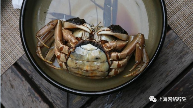 为何独宠大闸蟹?中美治蟹路径的深层差异 为何独宠大闸蟹?中美治蟹路径的深层差异